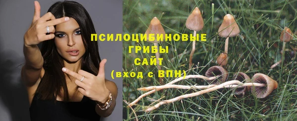 метадон Саяногорск
