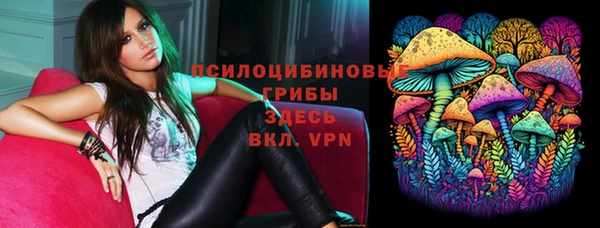 первитин Алексин