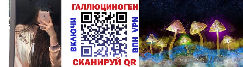 Галлюциногенные грибы Cubensis Богородск