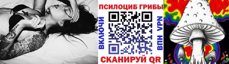 Купить  Богородск  Псилоцибиновые грибы GOLDEN TEACHER 
